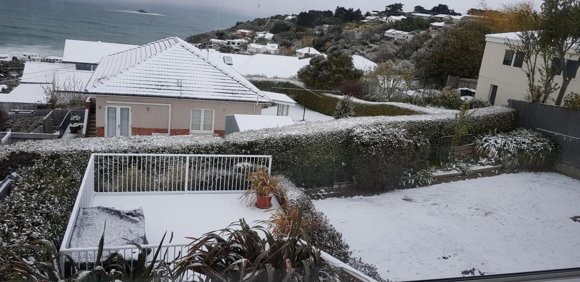 ديوندين Rosemount B&B By The Sea St Clair المظهر الخارجي الصورة
