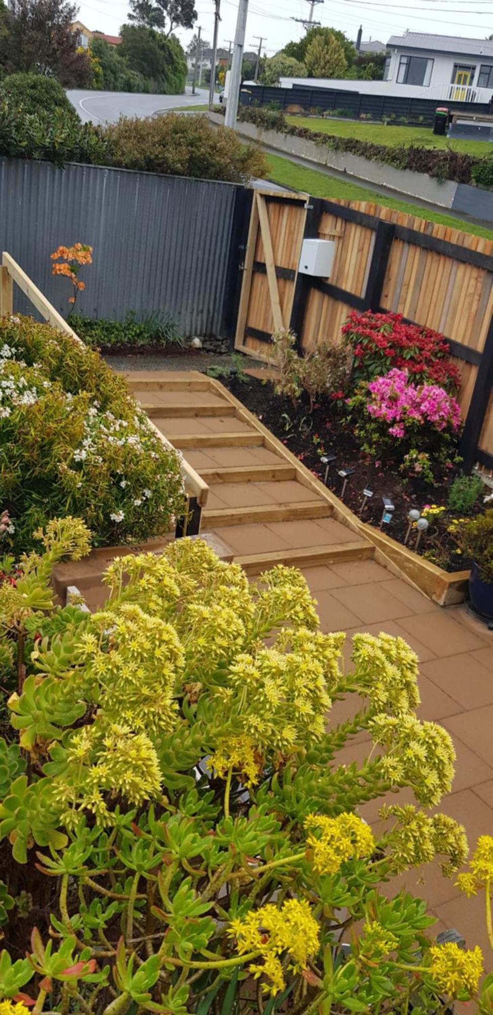 ديوندين Rosemount B&B By The Sea St Clair المظهر الخارجي الصورة