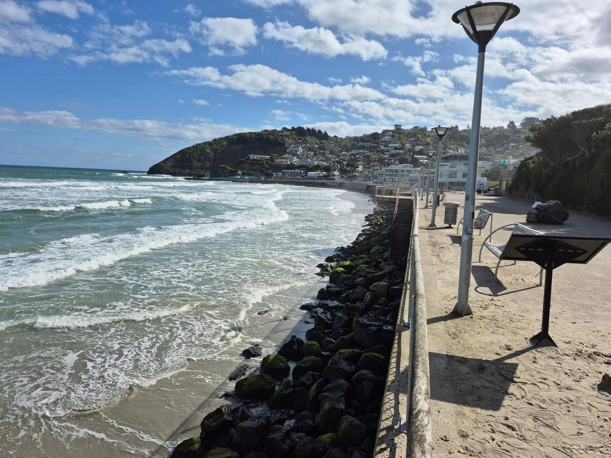 ديوندين Rosemount B&B By The Sea St Clair المظهر الخارجي الصورة