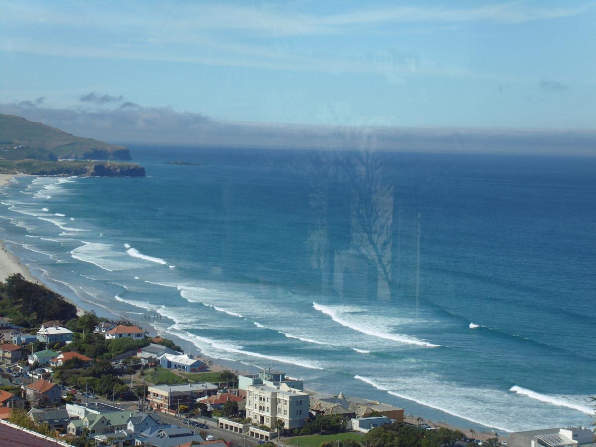 ديوندين Rosemount B&B By The Sea St Clair المظهر الخارجي الصورة