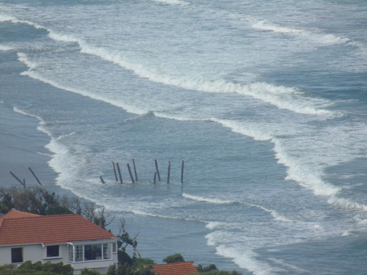 ديوندين Rosemount B&B By The Sea St Clair المظهر الخارجي الصورة